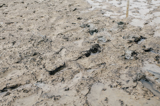 Footprint or imprint shoe in the mud.Mud texture or wet brown soil as natural organic clay and geological sediment mixture as in roughing it in a dirty muddy country ground after the rain or rainy.