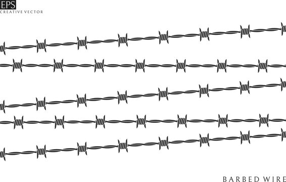 Prison. Isolated barbed wire on white background