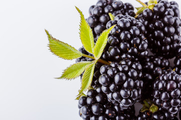 juicy blackberries on a white acrylic background