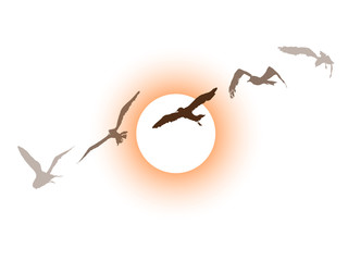 Set of brown birds with an orange sunset in background - 345111145