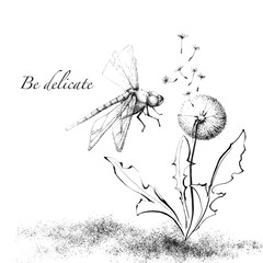 Dragonfly flying near blown dandelion flower with leaves