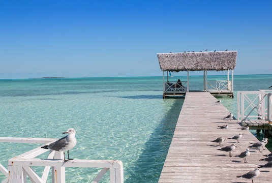 Plage paradisiaque