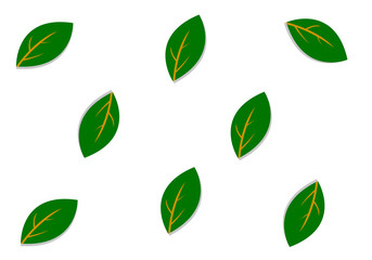 leaf background  walpaper