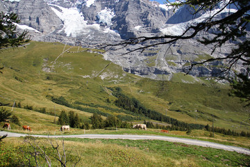 Naklejka premium Beautiful Sceneries on Jungfrau Railway