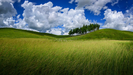 Siberia Russia, autumn haystacks in agricultural fields between Ulan Ude and Chita