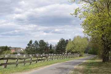 Fototapeta na wymiar Landweg entlang einer Pferdekoppel