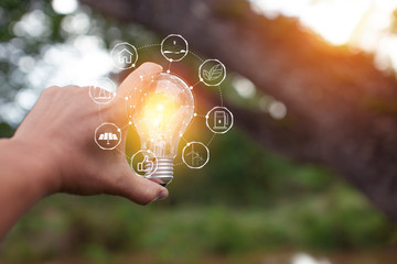 Light bulbs that grow, in the concept of energy in nature.