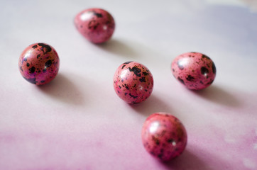 easter eggs on a white background