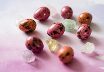 easter eggs on white background