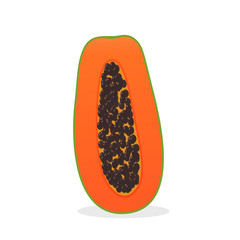 Ripe papaya vector. Ripe papaya is a fruit for health lovers. Isolated on a white background.