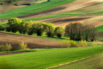 Obraz premium Beautiful landscape of plowed fields durins spring
