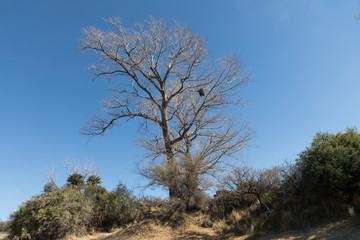 Paisaje naturaleza en Cordoba, Argentina