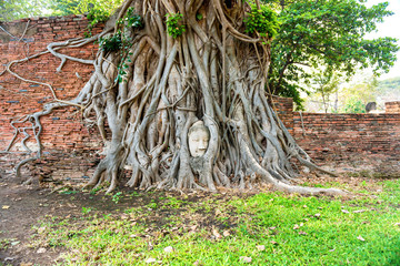 Fototapeta na wymiar View of Buddha head in tree roots at brick wall in ruins of Wat Mahathat temple. Ayutthaya, old historical and religious capital of Thailand