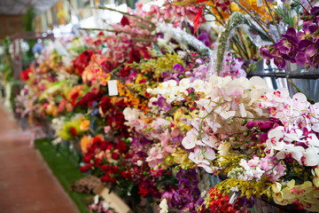 Flowers on display in shop