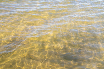 Golden sandy seashore with clear water