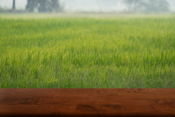 Wooden table for adding item or advertising content in front of blurred rice field background. It can be used for display or montage your product.