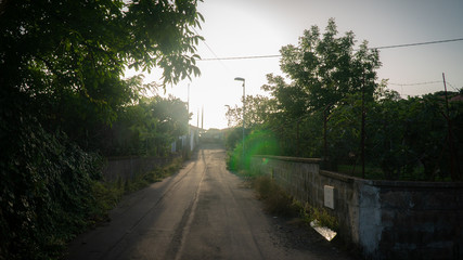 Sunset on a Sicilian countryside road full of greenery and nature