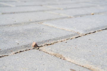 Close-up concrete cement rectangular road tile