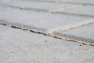 Close-up concrete cement rectangular road tile