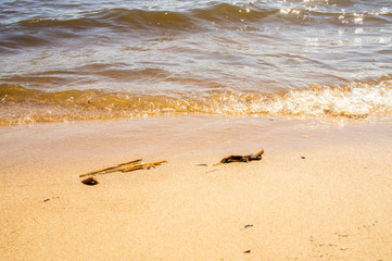 Golden sandy seashore with transparent wave