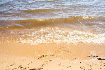 Golden sandy seashore with transparent wave