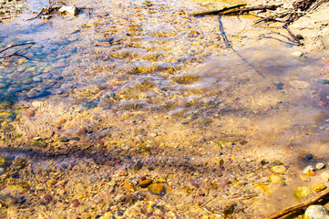 Golden mountain stream with beautiful stones and clear water