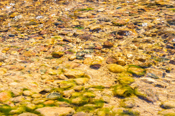 Golden mountain stream with beautiful stones and clear water