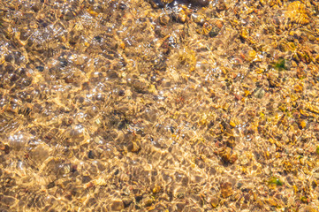 Golden mountain stream with beautiful stones and clear water