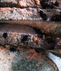 Fototapeta premium Mouldy (moldy) bread. Close-up.