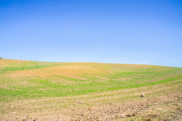 Fototapeta na wymiar Beautiful rural landscape with green grass and blue sky