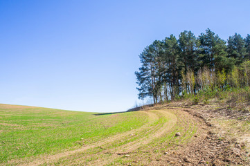 Beautiful rural landscape with green grass and blue sky