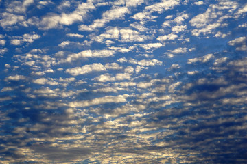 Naklejka na ściany i meble blue sky with Altocumulus cloud