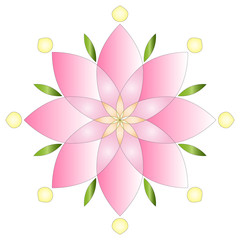Fototapeta premium pink lotus flower Mandala design