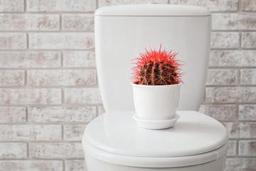 Toilet bowl with cactus near brick wall. Hemorrhoids concept