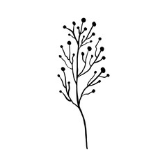 Simple not perfect black branch silhouette with berries. Icon illustration isolated on white. Hand drawing vector asia sign, symbol.
