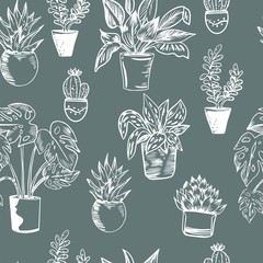 Vector seamless pattern with house plants in pots in black and white colors.