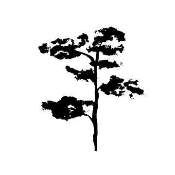 Simple not perfect black silhouette imprint tree pine, bonsai . Illustration isolated on white. Hand drawing vector asia sign, symbol. Wabi sabi japanese style.