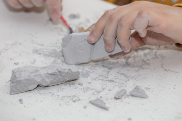 image of an educational game to find fossils for a small archaeologist, with children's hands...