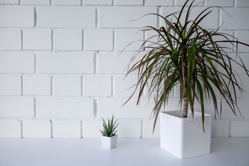 Interior. Decor for the home. Homemade flowers in white pots against a white brick wall.