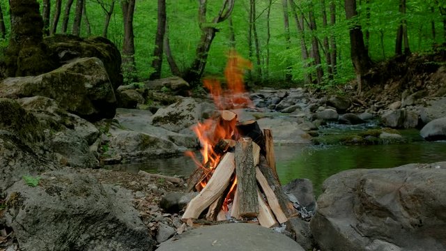 Relaxing campfire in the forest.