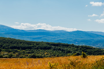 landscape of beautiful forest nature with fields and blue sky