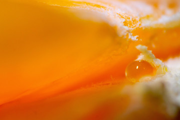 close up of an orange with little drop behind slices
