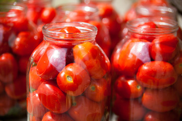 Pickling (canning) the tomatoes.