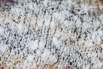 Close up sur des mailles en laine chaude, arri&egrave;re plan mati&egrave;re douce