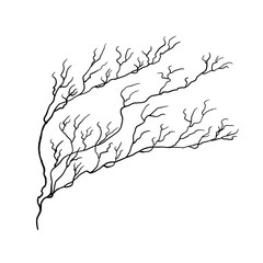 Bare simple not perfect black bush silhouette. Illustration isolated on white. Hand drawing vector asia sign, symbol. Wabi sabi japanese style.