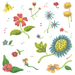 hand drawn vector set of flower on white background.