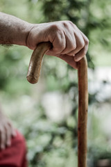 Closeup of senior man's hand on wooden walking stick. Selective focus on fingers.