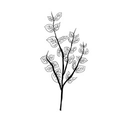 Simple not perfect black branch silhouette with leaves. Icon illustration isolated on white. Hand drawing vector asia sign, symbol. Wabi sabi japanese style.