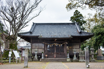 賀来神社　大分県　大分市　由布市　神社　欅　ケヤキ