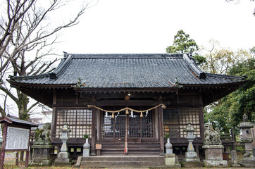 賀来神社　大分県　大分市　由布市　神社　欅　ケヤキ